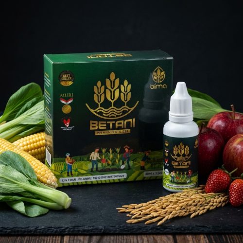 betani box2